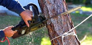 Best Utility Line Clearance  in Monterey Park, CA