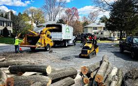 Pest Control for Lawns in Monterey Park, CA