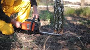 Best Lawn Pest Prevention  in Monterey Park, CA